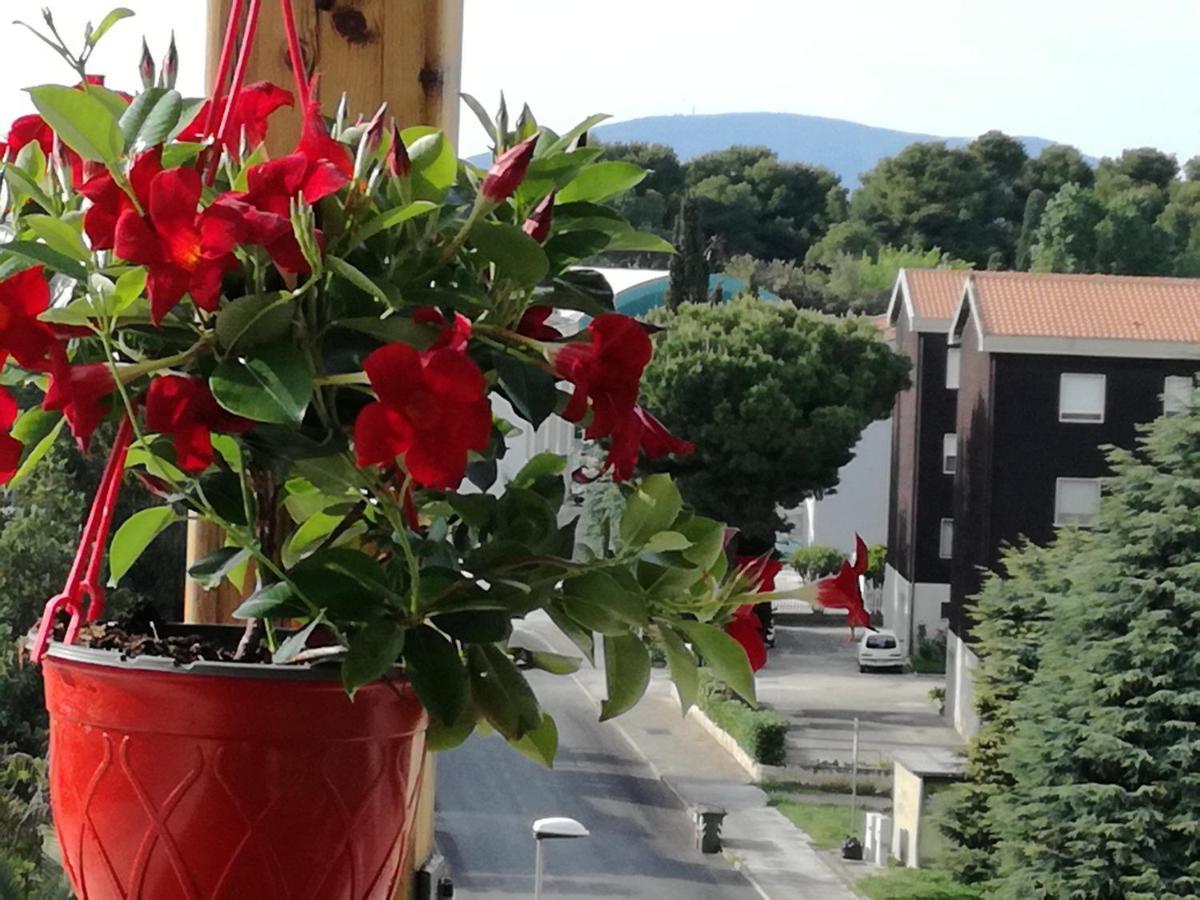 Apartamento Nel Blu Dipinto Di Blu Porto Recanati Exterior foto